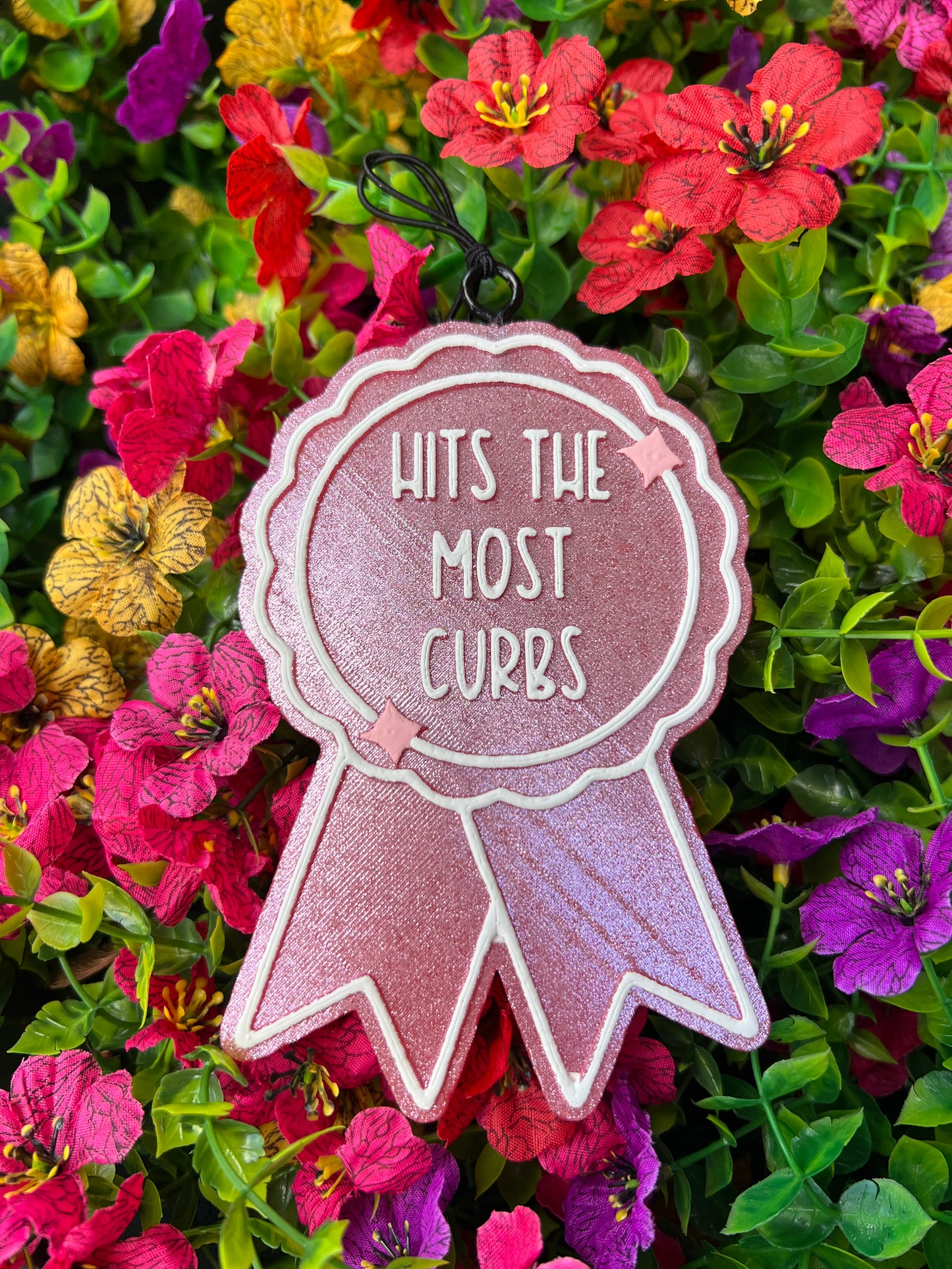 🏆Hits the most Curbs🏆